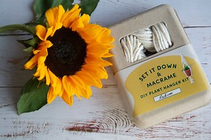 Macrame Plant Hanger DIY Kit - DIY Plant Hanger, DIY Macrame Kit, Macrame Hanging Plant Holder, Boho Macrame, Plant Pot, Boho Decor Diy - Etsy