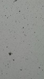 53K views · 2K reactions | Current situation... ⛷ ❄ 泥 | Telluride Ski Resort | Facebook