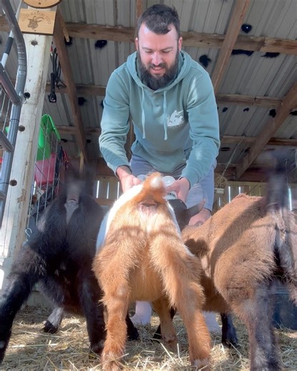 Bottle feeding baby goats | Shirtless Jake's Homestead