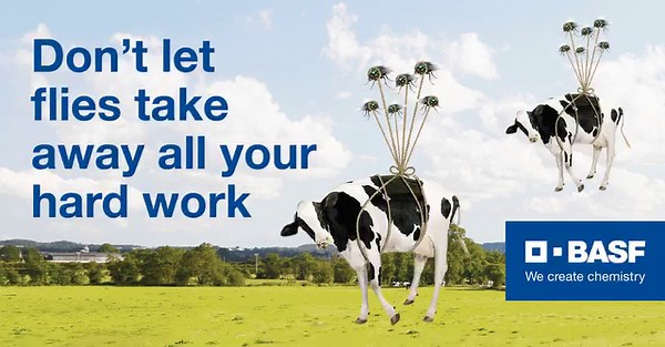 Problems with flies in the milking shed? Rip into nuisance flies, lice and ticks with the proven power of #Ripcordinsecticide. Just one application provides long lasting protection from nasties Ministry for Primary Industries approved and no milk withholding period! Find out more: https://bit.ly/33sKcR4 | BASF Agricultural Solutions