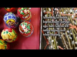 Why pussy willows are associated with Dyngus Day