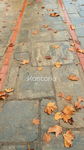 Καστοριά: Μαγική σε κάθε εποχή! 🍁 #Kastoria #VisitGreece #kastoriagreece | Svouranews.gr