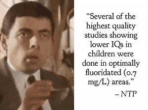 1.3K views · 32 reactions | Critics of the NTP report on #fluoride neurotoxicity claim that the findings of lowered IQ are not applicable to water fluoridation. These claims are demonstrably false. | Fluoride Action Network | Facebook