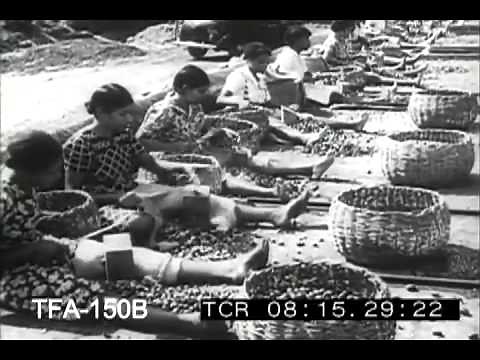 Grenada, West Indies, 1940