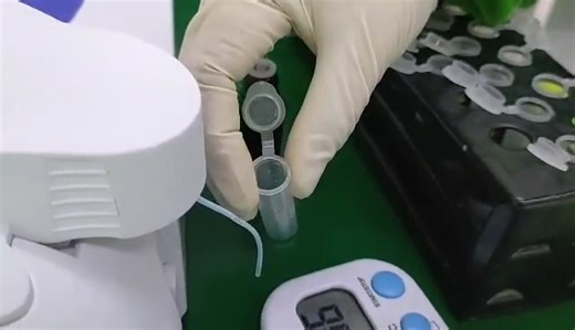 Examining the biochemical components of the native chicken blood. | Philippine Native Chicken