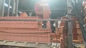 79K views · 811 reactions | সার্বিয়ায় কাজের সুযোগ।...