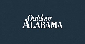 NASP 3D Archery | Outdoor Alabama