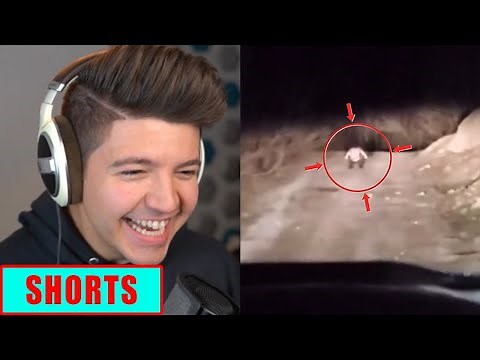 PRESTON Reacts To His WORST NIGHTMARE!