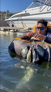 Lake Isabella ￼￼ crappie fishing is slow and cold. Tube fishing 🎣. #Crappie fishingboyzoutlawz