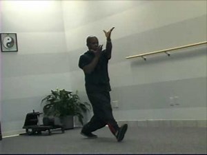 Xing Yi Chuan [Hsing-I]