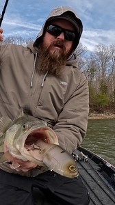 We've been blessed to catch a ton of glide bait fish! 99% of those fish are either hooked in both corners of the mouth, or they have the rear treble on their bottom lip. It's incredibly rare for a fish to actually choke down a hard swimbait, but this one managed to do it! Check out the way this largemouth INHALED the Bucca Brand 6" Trick Shad! What a crazy bite! What about you? Have you caught bass on glides? How have they been hooked? | Tacticalbassin