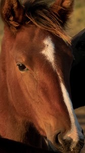 1.3K views · 13 reactions | Lebanon is for #NatureEnthusiasts. Want to know what to do on your visit? Check out our site tab “Plan Your Visit” and find what part of the #heartofkentucky speaks to you. VisitLebanonKy.com #visitlebanonky #outdoorky #canoeky #getoutdoors #travelky #lebanonky | Visit Lebanon KY | Facebook