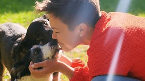 Femme heureuse avec deux chiens dans : vidéo de stock (100 % libre de droit) 3931896423 | Shutterstock