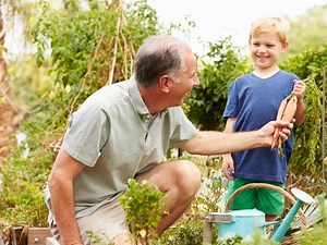 Backyard Gardens In Cleveland: Land Needed, Costs, What To Plant Now