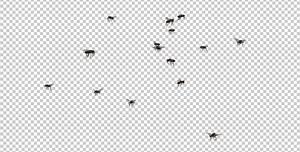 Fly Swarm - Flying Around