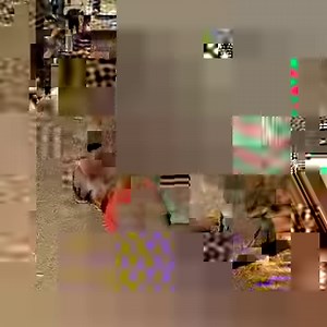 The funny donkeys | Humour pics