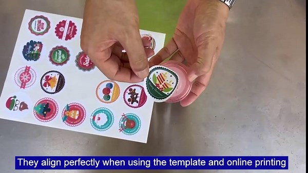 Round Labels 2 Inch,Printable Circle Labels,600 Round Sticker Labels, 30 Sheets, 20 Per Page,for Inkjet and Laser Printer, Matte White, for Bottle, Jar Labels,Brand Logo Stickers[3020]