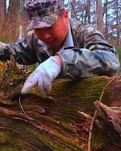 221K views · 841 reactions | A beautiful bracelet out of tree! | Trendy Magazine | Facebook