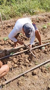 1.6M views · 10K reactions |  Deep Well Drilling   24/7 na ang ating tubig sa bukid flowing water, Free energy Tasok ❗❗❗TAGA MIAGAO, ILOILO AREA LNG KMI. ❗❗❗ FOR THOSE INTERESTED KINDLY PM ME OR COMMENT DOWN BELOW  TASOK ✅  KUTKOT BUBON ✅ #totomangungumapage | Toto Mangunguma Page | Facebook