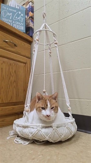 Humane Society of Marathon County on Reels