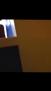 Take a selfie with Taylor swift (challenge) | Salish Matter