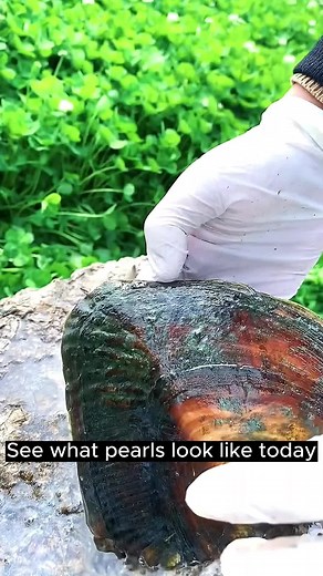 EpicPearls on TikTok