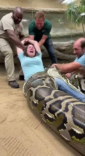PYTHON SWALLOWS WOMAN! 😱 (Raw Footage)