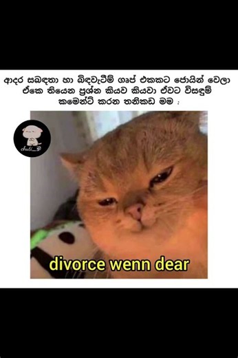 බුකියේ රස කතා අද 😂 | HC Fun Memes 🤣 #sinhala #shorts #memes Episode 2537 #athalmemes #shorts