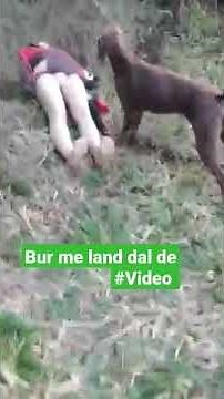 bur me land dal de #Video #bhojpuri