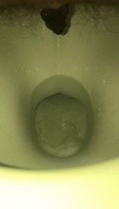 My girlfriend's poop 2