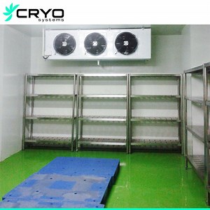 [Hot Item] Chinese Dairy Dehydrated Onion Storage Freezer Medical Cold Storage Cold Storage Sale