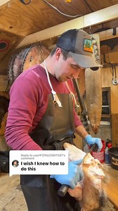 47K views · 345 reactions | crash course in how to prepare a raccoon hide. Fleshing can be the most daunting part of the process, but with a bit of practice will come second nature. #newenglandnaturals #beaver #trapping #fur #furriers #newhampshire #NHL | newenglandnaturals | Facebook