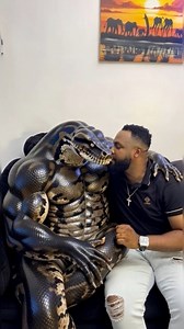 He Brought Home A Python To Marry As Wife Unimaginable (Full Video) | Dominic True Stories Tv