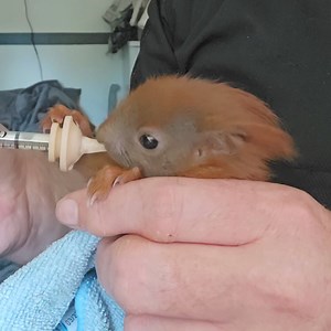 10K views · 1.3K reactions | It's Q&A time again. Q: Where does...