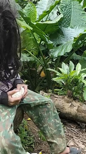 Hoang is happy to find a pig giving birth, mysterious woman picks wild fruits to eat to survive-051 | Ly Tieu Dua | Facebook