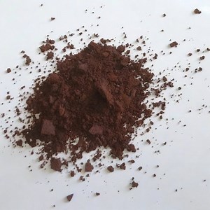 [Hot Item] Ganoderma Lucidum Extract Reishi Shell-Broken Spore Powder 98% Reishi Mushroom Extract