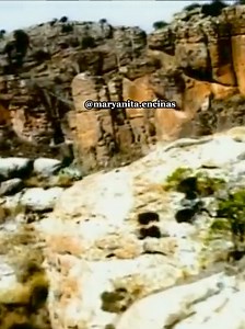 Una lagrima no basta Canción de Los Temerarios Una lágrima no basta Para que yo te perdone Te robaste mi alma Tú te llevaste todo Ahora vienes a mí, pero sin nada Te lo pido, por favor No me mires con amor Si acabaste conmigo ya ¿Qué más quieres de mí? Si ya todo, todo te lo di Ten compasión ya no me busques Tú no me amas y yo cuando te miro De todo me olvido y quiero abrazarte Quisiera abrazarte Y quedarme para siempre juntito a ti Te lo pido, por favor No me mires con amor Si acabaste conmigo 