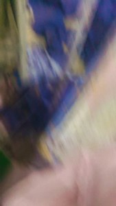 63K reactions · 79 shares | #babani kariye Kya padhaai inke pyar Ho Gaya | Don Shahnwaz King | Facebook