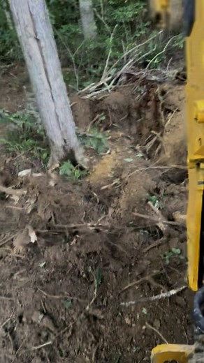 Clearing dead and damaged trees from the fence row and giving healthy trees room to grow #backhoework #happyfridayeveryone #happyfriday #fencebuilding #goodvibesonly | Eva George