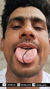 1.6M views · 19K reactions | Blind Snake |سپولے| یہ چھوٹے سائز کہ...