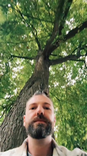 De #ziel kiest zijn of haar eigen #pad dit wetende kunnen of mogen wij zelfs niet #oordelen of wij nu kiezen voor een bewust of een onbewust leven. #bewustzijn #npc Vertel wat voor leven kies jij? 🙌🏼📖🦋 | The Butterfly Tribe