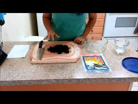 How to make Homemade Seaweed Fertilizer