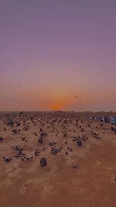 Jannat al-Baqi is the oldest and first Islamic cemetery of Medina🤍🥹 | Turn Back To ALLAH
