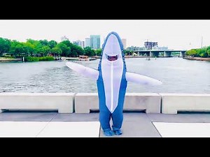 Inflatable Shark Costume in Gray 🦈