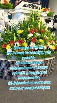 #WithGodAllThingsArePossible 🙏✝️Motivation #Christian #Amen #Reflection #DailyReflections #Faith ...