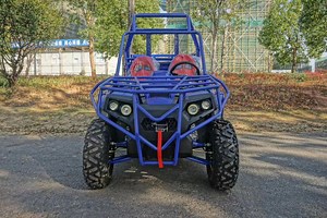 [Hot Item] Electric Farm UTV Hot Selling in Asia Market