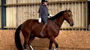 Bridle-less and saddle-less dressage skills and 12 other great bits of horsey social media this week - Horse & Hound