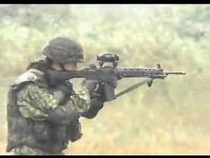 Type 89 rifle