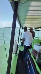 camurupim🚀 #pescaria #fishing #pescasub #shortes #pesca #camurupum