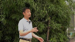 Recognized as a national intangible cultural heritage, ventriloquism has flourished for over a millennium. With three decades of dedication, Jiang Lianying, the fourth-generation inheritor, continues to preserve and promote this enduring art form in Beijing. 🥰💕💕 #BeijingHeritage #BeijingCentralAxis #ArtsyBeijing | Discover Beijing